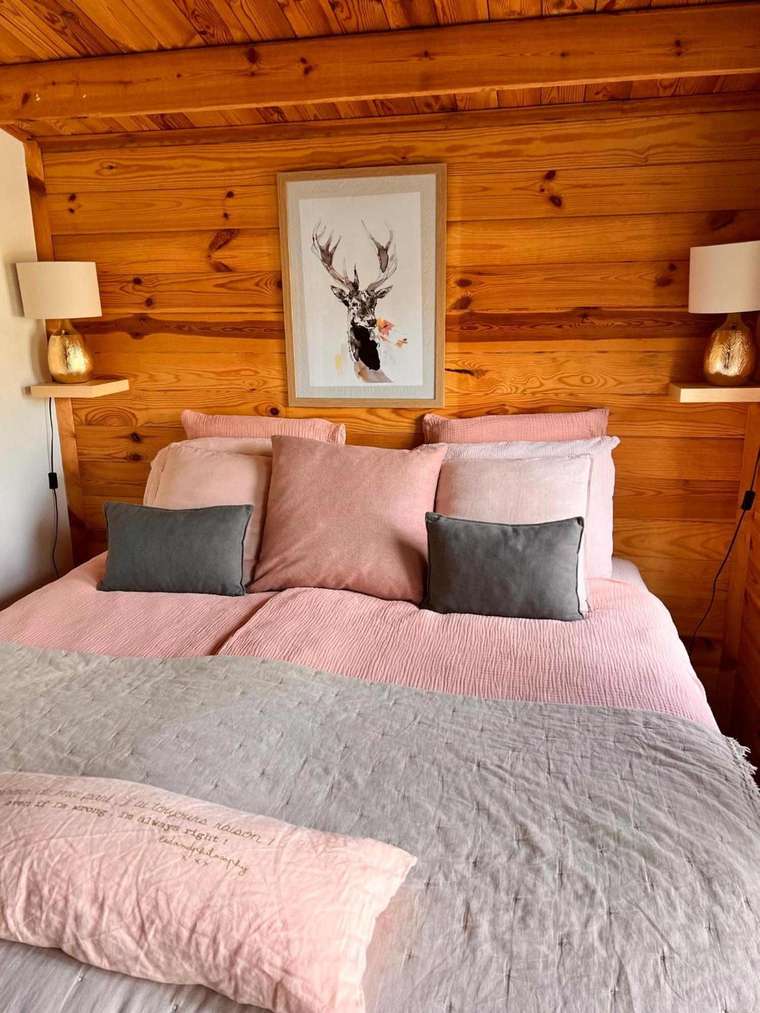 Hygge Lodge Annecy ドゥサール エクステリア 写真