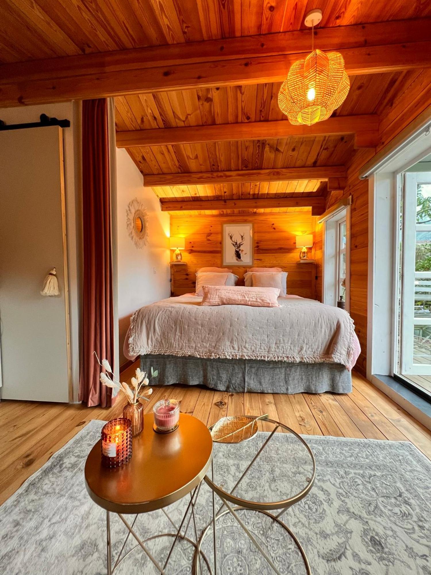 Hygge Lodge Annecy ドゥサール エクステリア 写真