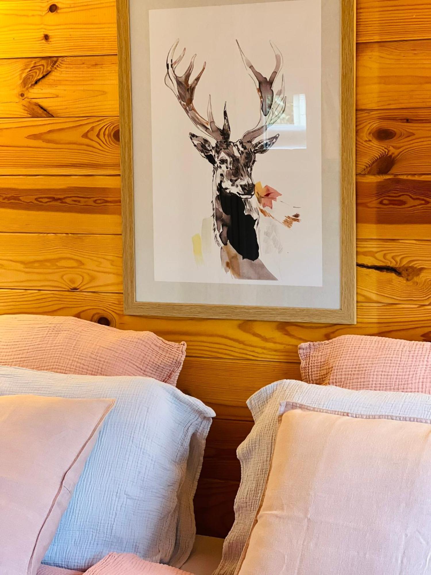 Hygge Lodge Annecy ドゥサール エクステリア 写真